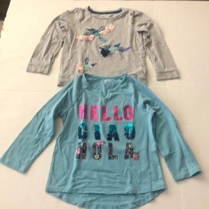 2 pcs. Gymboree long sleeve tops